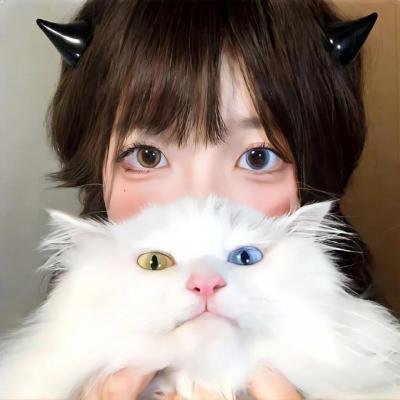 碧窗艳影